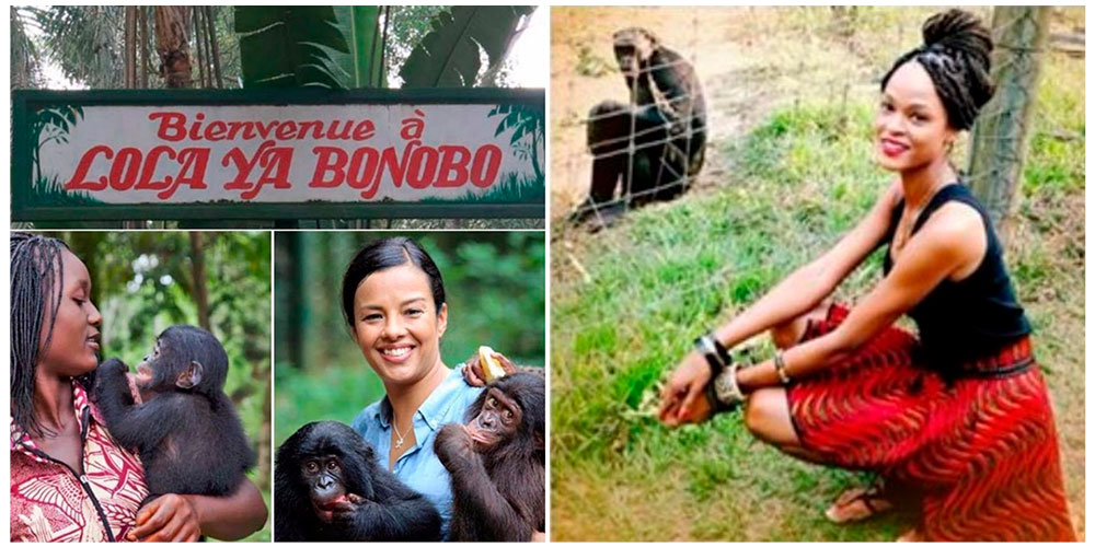 Lola Ya Bonobo Cap Rental location de Véhicule